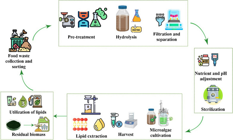 Upcycling food waste for microalgae cultivation toward lipid production in a closed-loop and system-integrated circular bioeconomy