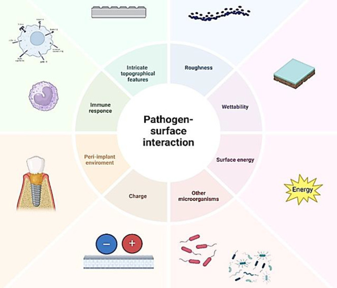 <i>Candida albicans</i> Impact on the Progression, Morphology, and Cellular Integrity of Biofilm Formation on the Surfaces of Implants; Current Knowledge and Future Perspectives.