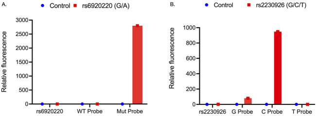 CRISPR-Cas9 editing of <i>TNFAIP3</i> variants in salivary gland epithelial cells to study Sjögren's disease pathogenesis.