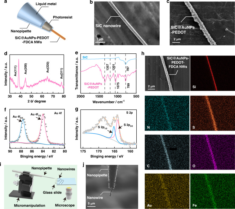 Development of electrochemical nanoprobe for real-time intracellular measurements of Fe<sup>2+</sup> during ferroptosis.