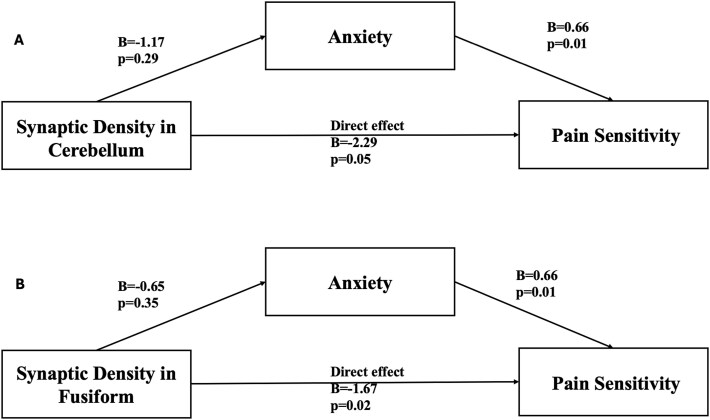 Exploring the influence of synaptic density and anxiety on pain perception: evidence from a [11C]UCB-J positron emission tomography imaging study.