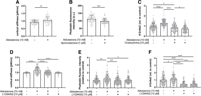 SECS, drugs, and Rac1&Rho: regulation of EnNaC in vascular endothelial cells.