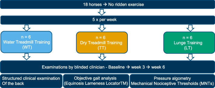 Evaluation of water treadmill training, lunging and treadmill training in the rehabilitation of horses with back pain.