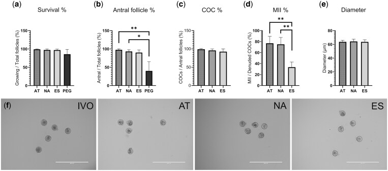 A matrix-free 3D in vitro follicle culture system in mice exhibits enhanced oocyte meiotic and developmental competence compared to hydrogel encapsulation.