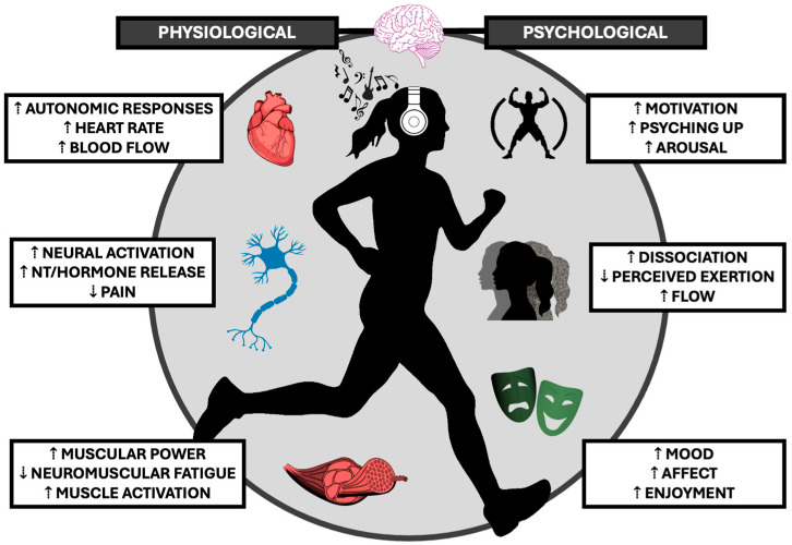 Implications for the Ergogenic Benefits of Self-Selected Music in Neurological Conditions: A Theoretical Review.