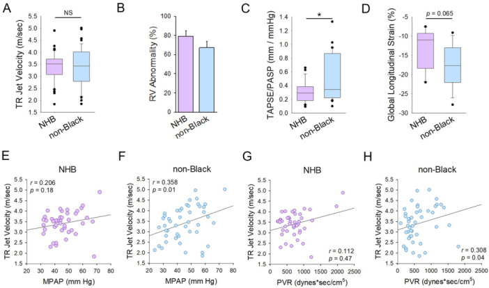 Important Differences in Disease Severity, Echocardiography Findings, and Referral Delays in Non-Hispanic Black Patients With Pulmonary Arterial Hypertension.