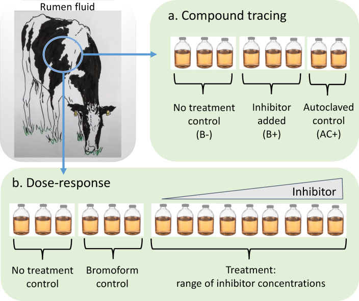 The antimethanogenic efficacy and fate of bromoform and its transformation products in rumen fluid.
