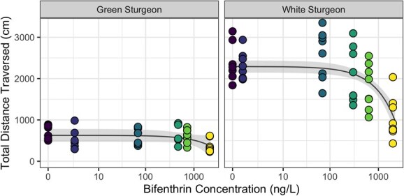 Aqueous exposure to a pyrethroid pesticide results in behavioural effects in early life stage sturgeon.