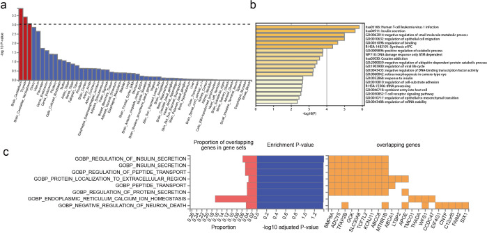 New insights into genetic comorbidity mechanisms: type 2 diabetes and primary open-angle glaucoma.