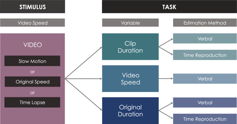 Time and video speed perception: a comprehensive investigation of the relation between estimated video speed, clip duration and original duration.