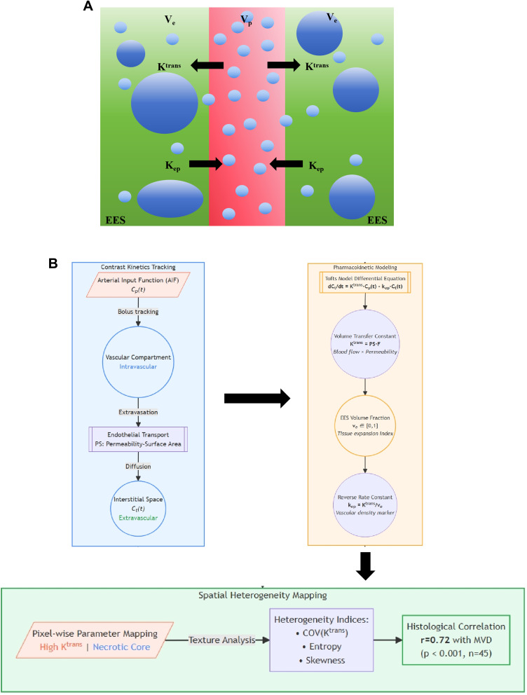 Heterogeneity Assessment of Breast Cancer Tumor Microenvironment: Multiparametric Quantitative Analysis with DCE-MRI and Discovery of Radiomics Biomarkers.
