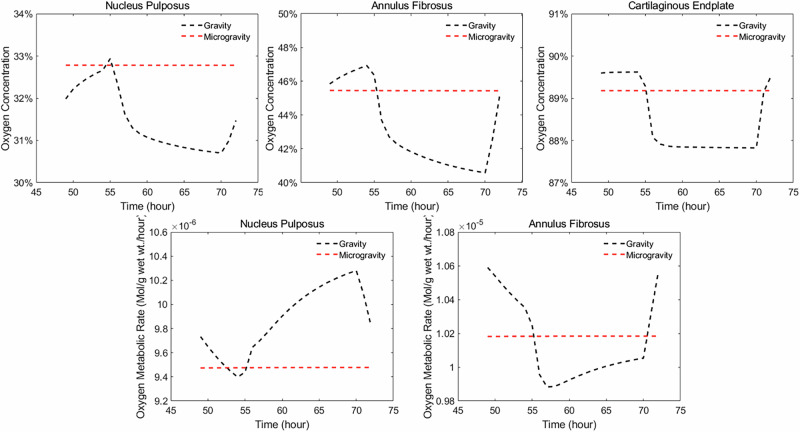 Numerical study on the effect of microgravity on biomechanics in human lumbar intervertebral discs.