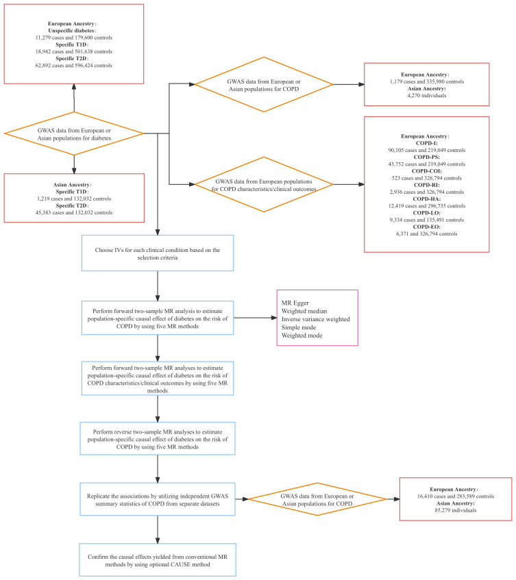 Potential Causal Relationship Between Chronic Obstructive Pulmonary Disease and Diabetes: A Bidirectional Two-Sample Mendelian Randomization Study.