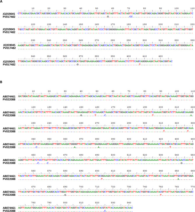 Detection and genetic diversity of Neoehrlichia mikurensis in rodents from central and southern Shanxi, China.