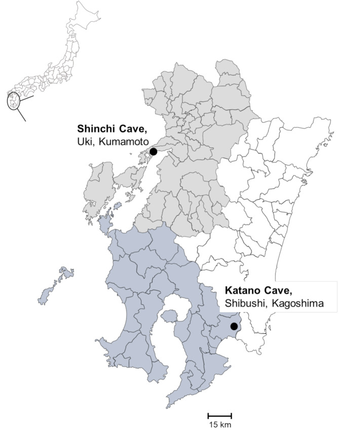 Genetic diversity of sarbecoviruses isolated from microbats in Southern Japan.