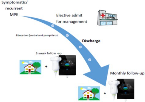 Correction to "Evaluation of a Digital Health Model of Care for the Management of Adults With Symptomatic Malignant Pleural Effusion".