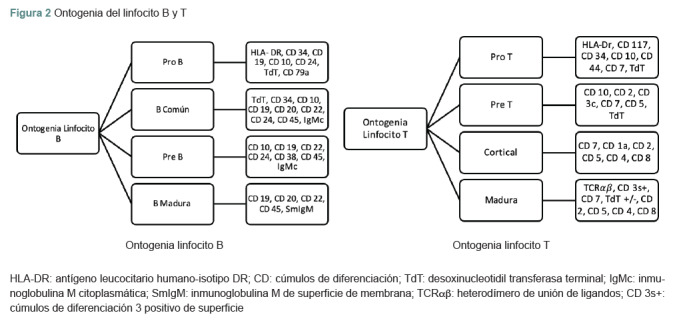 [Diagnosis and treatment of pediatric acute lymphoblastic leukemia: Historical review].