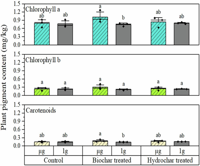 Soil conditioning for enhancing plant growth using biochar and hydrochar under microgravity.