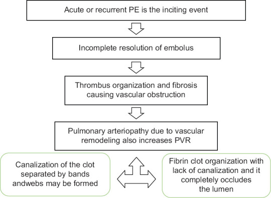 Anesthetic management of chronic thromboembolic pulmonary hypertension for surgical pulmonary thromboendarterectomy: A narrative review.