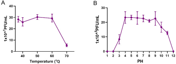 Isolation and characterization of a novel bacteriophage PUTH1 active against Pseudomonas aeruginosa.