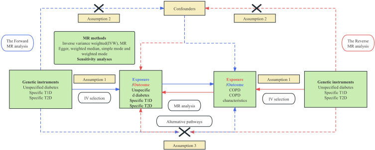 Potential Causal Relationship Between Chronic Obstructive Pulmonary Disease and Diabetes: A Bidirectional Two-Sample Mendelian Randomization Study.