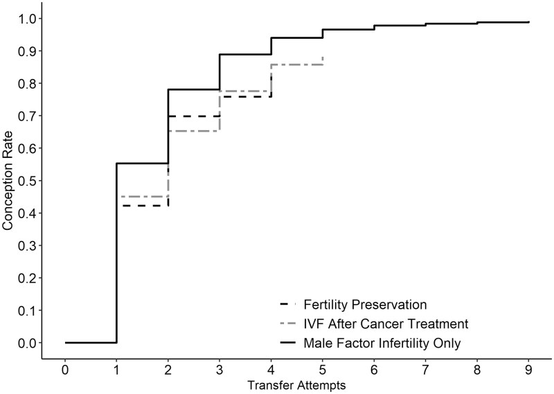 Fertility preservation and in vitro fertilization (IVF) success rates after cancer.