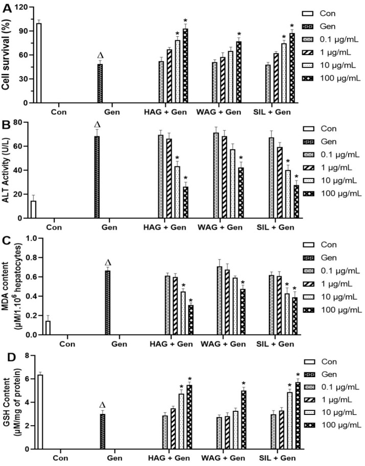 Extracts of <i>Apium graveolens</i> (Celery) attenuate hepato-renal injury induced by chronic administration of gentamicin in mice through activation of Nrf2-antioxidant signaling pathways.