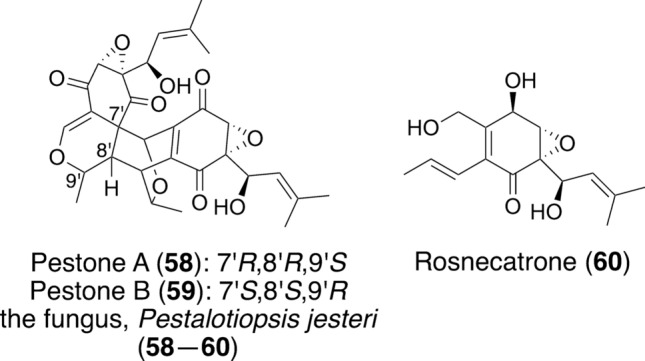 Natural products that target p53 for cancer therapy.