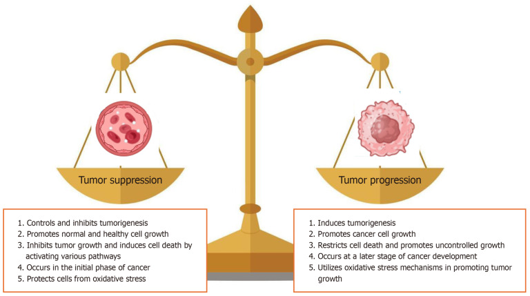 Unleashing the potential of ferroptosis, autophagy, and mitochondrial dynamics as emerging modalities in cancer treatment.