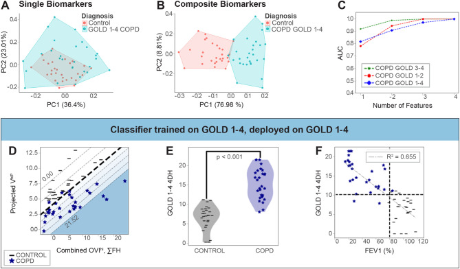 X-ray velocimetry provides temporally and spatially-resolved biomarkers of lung ventilation in small airways disease.