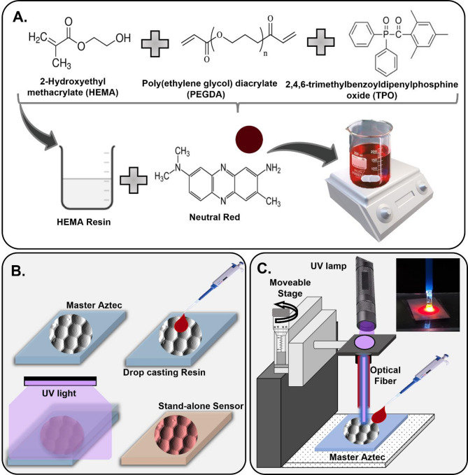Advanced hydrogel optical fiber sensors with triple-readout for real-time pH sensing.