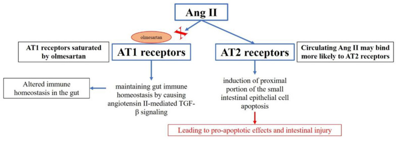 Atypical Rapid Onset of Olmesartan-Induced Enteropathy with Recurrence After Rechallenging.
