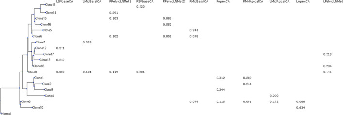 GenoPath: a pipeline to infer tumor clone composition, mutational history, and metastatic cell migration events from tumor DNA sequencing data.