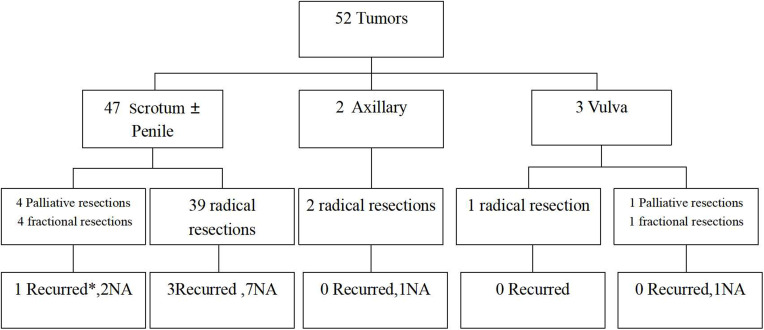 Narrow-Margin Treatment with Modified Mohs Microsurgery for Extramammary Paget's Disease: A Retrospective Clinical Analysis.