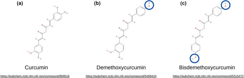 Advancements in curcuminoid formulations: An update on bioavailability enhancement strategies curcuminoid bioavailability and formulations.