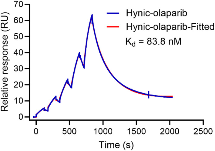 Development and evaluation of a 99mTc-labeled olaparib analog for PARP imaging