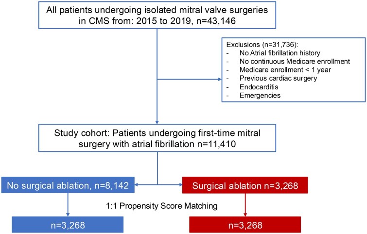 National outcomes of surgical ablation for atrial fibrillation at the time of mitral surgery.