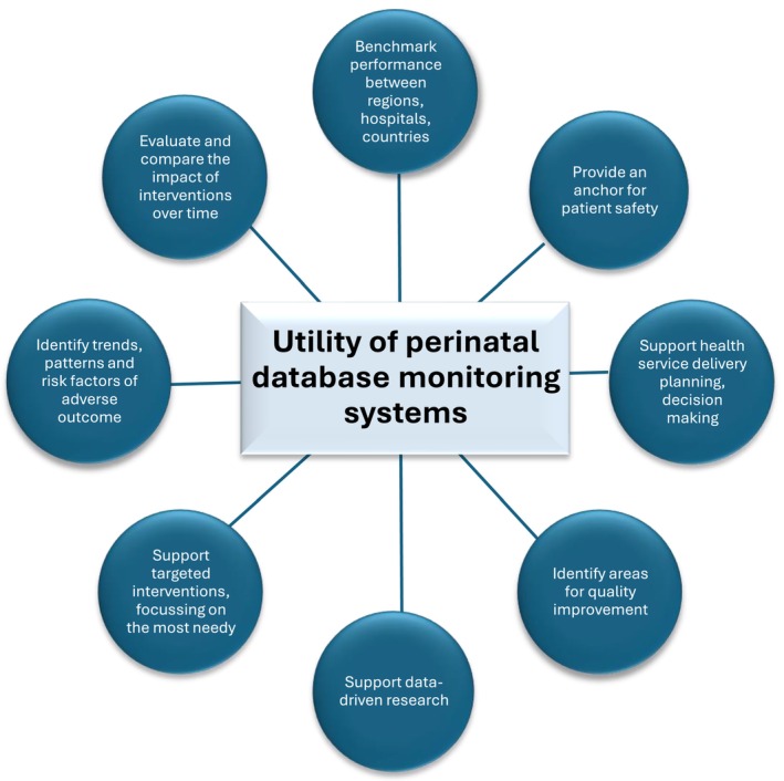 Monitoring Perinatal Health in Europe: Strengths and Challenges of the Euro-Peristat Project.