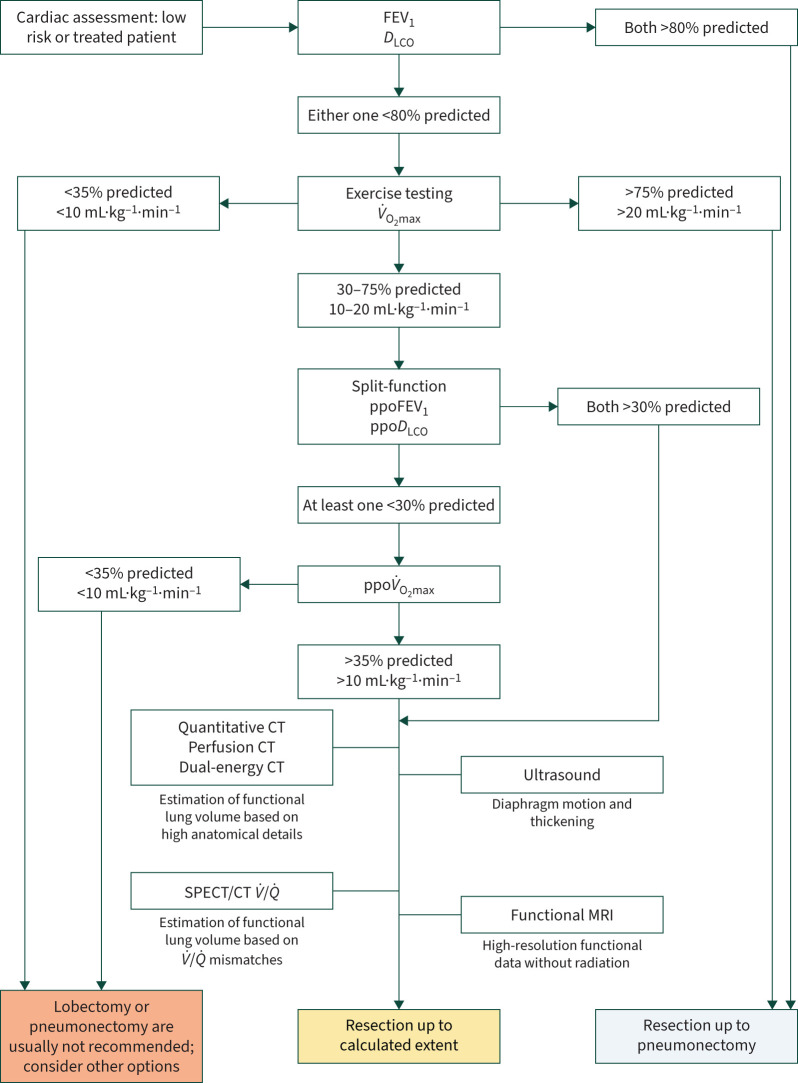 Pulmonary function prediction in lung cancer resection candidates: the latest insights.