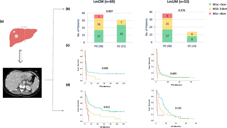 Monitoring soluble cMET and ctDNA in metastatic uveal melanoma patients to track early disease progression on immunotherapies.