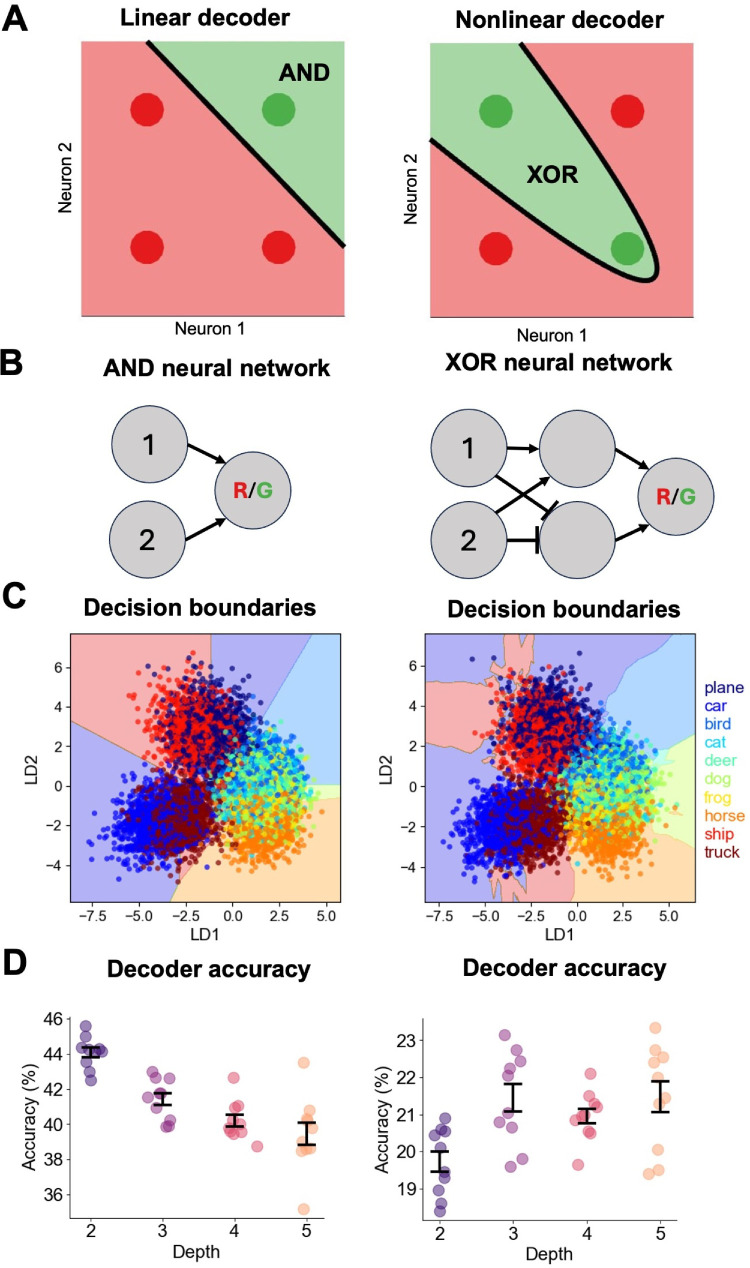 Computational evidence for an inverse relationship between retinal and brain complexity.