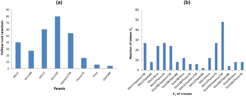 Heritability of durable resistance to stripe rust in bread wheat (<i>Triticum aestivum</i> L.).