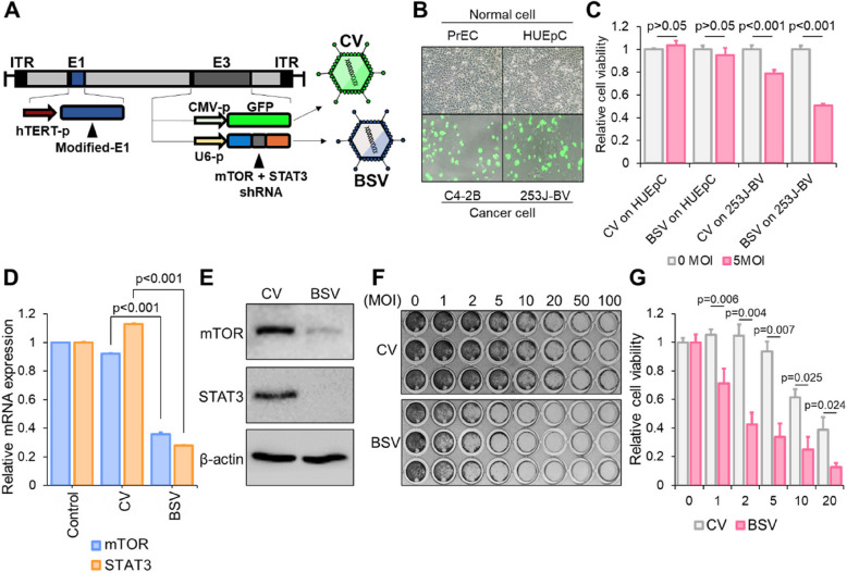 Correction: Intravesical instillation-based mTOR-STAT3 dual targeting for bladder cancer treatment.