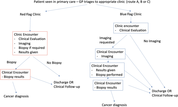 Evaluating a novel patient pathway to manage symptomatic breast referrals (the blue flag clinic): a longitudinal observational study.