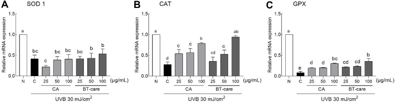 Enhanced Skin-Protective Effects of a Novel <i>Centella asiatica</i> Variety (BT-Care) Cultivated for 75 Days via Modulation of Antioxidant Defense, Collagen Synthesis, and Skin Barrier Function.