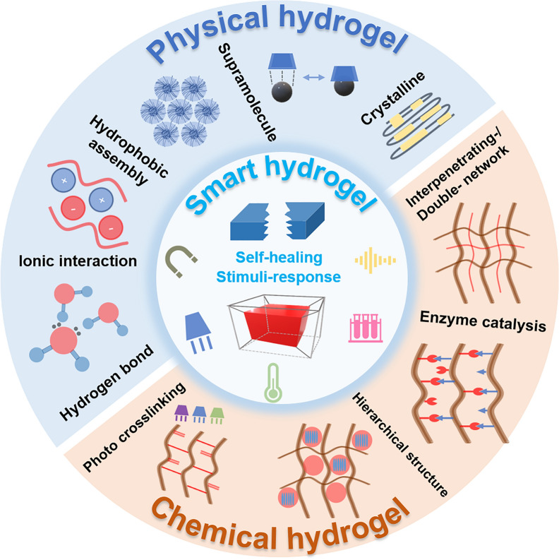 Smart hydrogels for in situ tissue drug delivery.