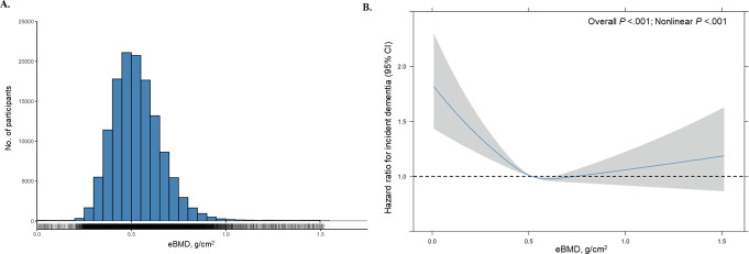 Association of heel bone mineral density with incident dementia among ageing adults: a population-based study from the UK Biobank.