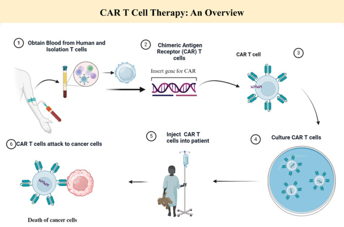 Colorectal Cancer; Novel Approaches in Chimeric Antigen Receptors (CAR) -T cell.