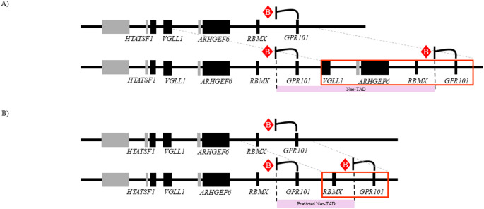 Non-penetrant Xq26.3 duplication involving the invariant TAD border: clinical evidence for the VGLL1 region as the GPR101 pituitary enhancer of X-linked acrogigantism.