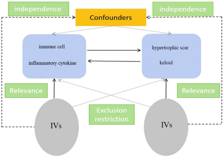 Influence of Immune Cells and Circulating Inflammatory Cytokines on Pathological Scars: A Mendelian Randomization Study.